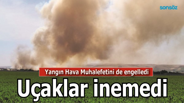 YANGIN HAVA MUHALEFETİNİ DE ENGELLEDİ