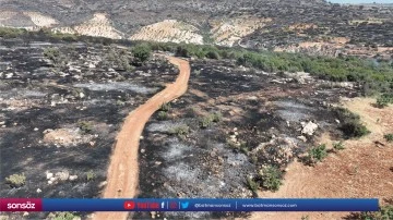 Yangın kontrol altına alındı