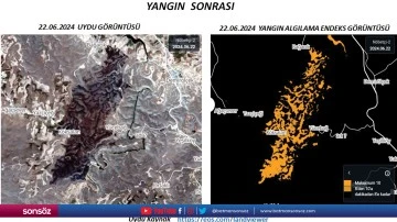 Dicle Elektrik, belgeleri paylaştı; işte yangının &ccedil;ıkış sebebi...