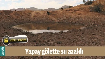 YAPAY G&Ouml;LETTE SU AZALDI