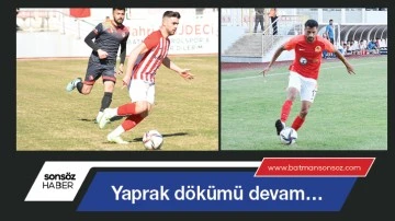 Yaprak d&ouml;k&uuml;m&uuml; devam&hellip;