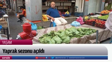 Yaprak sezonu a&ccedil;ıldı