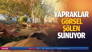 Yapraklar g&ouml;rsel ş&ouml;len sunuyor