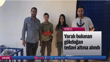 Yaralı bulunan g&ouml;kdoğan tedavi altına alındı