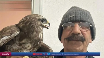 Yaralı bulunan kızıl şahin tedavi altına alındı