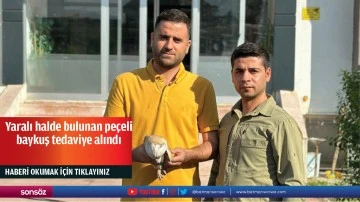 Yaralı halde bulunan pe&ccedil;eli baykuş tedaviye alındı