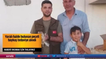 Yaralı halde bulunan pe&ccedil;eli baykuş tedaviye alındı