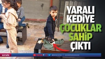 Yaralı kediye &ccedil;ocuklar sahip &ccedil;ıktı