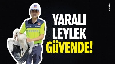 Yaralı leylek g&uuml;vende!