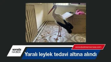 Yaralı leylek tedavi altına alındı