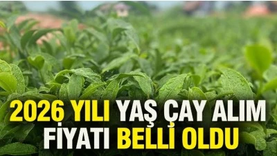 Yaş &ccedil;ay alım fiyatı belli oldu
