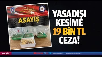 Yasadışı kesime 19 Bin TL ceza!