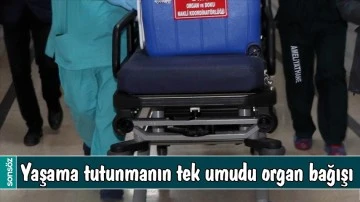 YAŞAMA TUTUNMANIN TEK UMUDU ORGAN BAĞIŞI