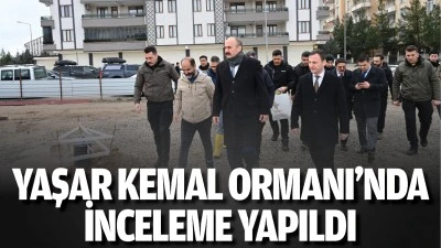 Yaşar Kemal Ormanı&rsquo;nda inceleme yapıldı