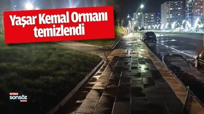 Yaşar Kemal Ormanı temizlendi