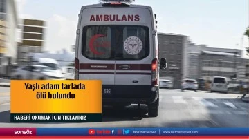 Yaşlı adam tarlada &ouml;l&uuml; bulundu