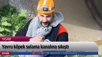 Yavru k&ouml;pek sulama kanalına sıkıştı 