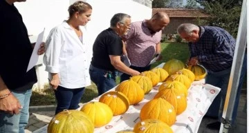 Yayla Kavunu Yarışması d&uuml;zenlendi