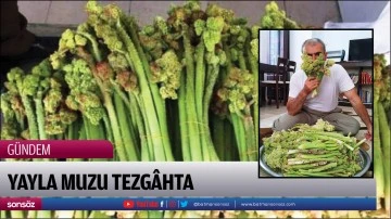 Yayla muzu tezg&acirc;hta 