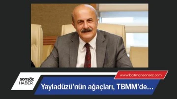 Yaylad&uuml;z&uuml;&rsquo;n&uuml;n ağa&ccedil;ları, TBMM&rsquo;de&hellip;