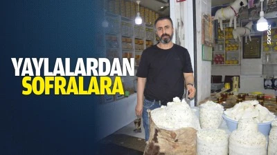 Yaylalardan sofralara