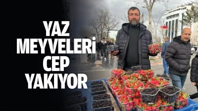 Yaz meyveleri cep yakıyor