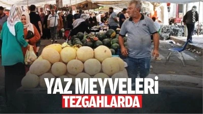 Yaz meyveleri tezgahlarda&hellip;