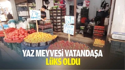 Yaz meyvesi vatandaşa l&uuml;ks oldu