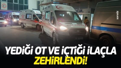 Yediği ot ve i&ccedil;tiği ila&ccedil;la zehirlendi!