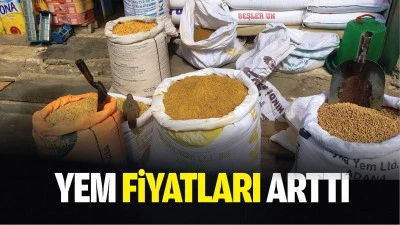 Yem fiyatları arttı