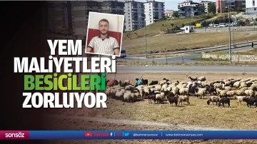 Yem maliyetleri besicileri zorluyor