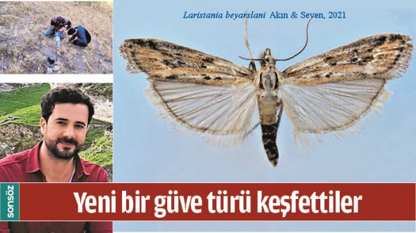 YENİ BİR G&Uuml;VE T&Uuml;R&Uuml; KEŞFETTİLER