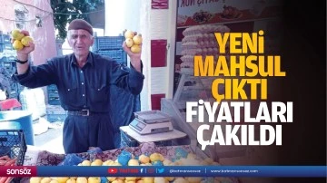 Yeni mahsul &ccedil;ıktı, fiyatları &ccedil;akıldı