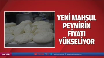 Yeni mahsul peynirin fiyatı y&uuml;kseliyor