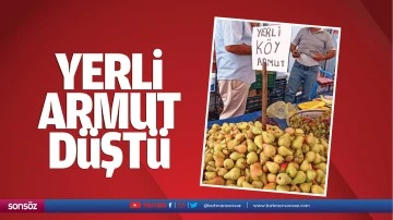 Yerli armut d&uuml;şt&uuml;