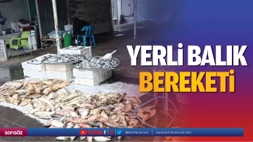 Yerli balık bereketi