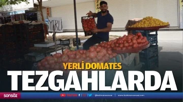 Yerli domates, tezgahlarda