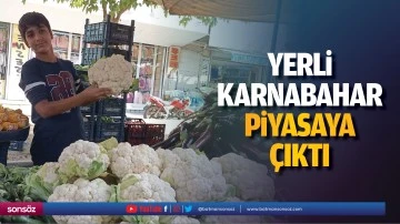 Yerli karnabahar piyasaya &ccedil;ıktı