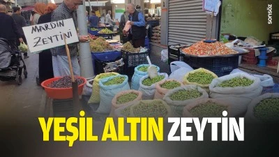 Yeşil altın zeytin