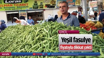 Yeşil fasulye fiyatıyla dikkat &ccedil;ekti