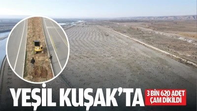 Yeşil Kuşak&rsquo;ta 3 bin 620 adet &ccedil;am dikildi