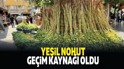 Yeşil nohut ge&ccedil;im kaynağı oldu