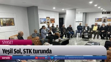 Yeşil Sol, STK turunda