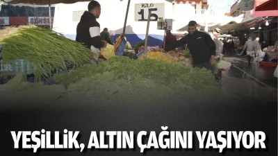 Yeşillik, altın &ccedil;ağını yaşıyor