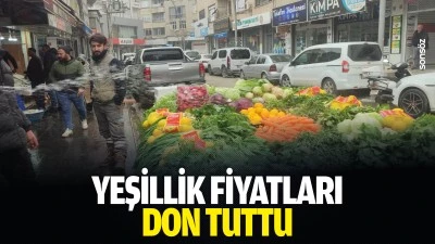 Yeşillik fiyatları don tuttu