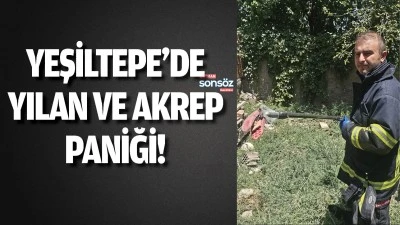 Yeşiltepe&rsquo;de yılan ve akrep paniği!