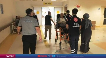 Yılanın soktuğu kişi hastaneye kaldırıldı