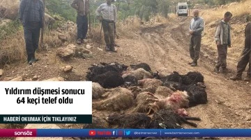 Yıldırım d&uuml;şmesi sonucu 64 ke&ccedil;i telef oldu