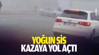 Yoğun sis, kazaya yol a&ccedil;tı