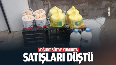 Yoğurt, s&uuml;t ve yumurta satışları d&uuml;şt&uuml;